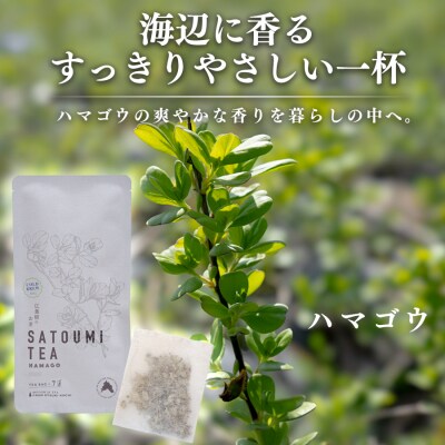 広葉樹のお茶 里海茶 ハマゴウ 1袋 7パック入り カフェインフリー 自然栽培 野草茶 高知県 大月