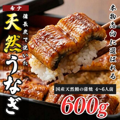 希少 国産天然うなぎ蒲焼   約4～6人前 600g 備長炭焼き 冷凍 うなぎ 蒲焼き 四万十川