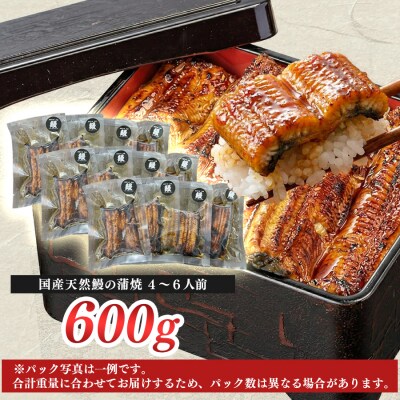希少 国産天然うなぎ蒲焼   約4～6人前 600g 備長炭焼き 冷凍 うなぎ 蒲焼き 四万十川