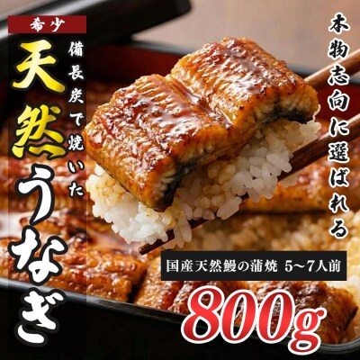 希少 国産天然うなぎ蒲焼 約5～7人前 800g 備長炭焼き 冷凍 うなぎ 蒲焼 四万十川