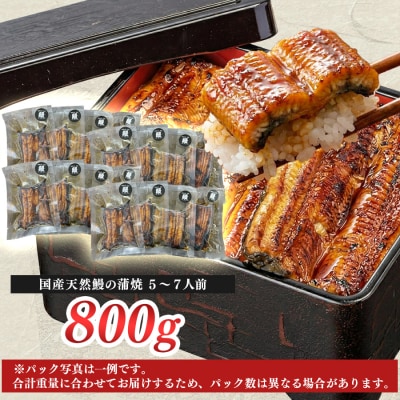 希少 国産天然うなぎ蒲焼 約5～7人前 800g 備長炭焼き 冷凍 うなぎ 蒲焼 四万十川