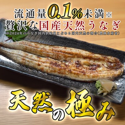 希少 国産天然うなぎ白焼き 約1～2人前 200g 備長炭焼き 冷凍 うなぎ 白焼 四万十川