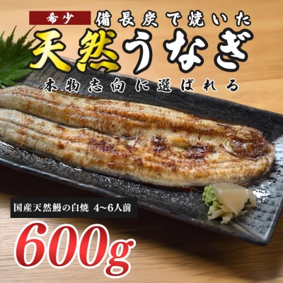 希少 国産天然うなぎ白焼き 約4～6人前 600g 備長炭焼き 冷凍 うなぎ 白焼 四万十川