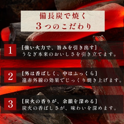 希少 国産天然うなぎ白焼き 約4～6人前 600g 備長炭焼き 冷凍 うなぎ 白焼 四万十川