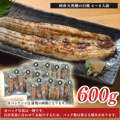 希少 国産天然うなぎ白焼き 約4～6人前 600g 備長炭焼き 冷凍 うなぎ 白焼 四万十川