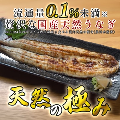 希少 国産天然うなぎ白焼き 約5～7人前 800g 備長炭焼き 冷凍 うなぎ 白焼 四万十川