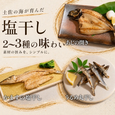 干物セット 2~3品 土佐の朝ごはん 冷凍 個包装 焼き魚 ご飯のお供 高知県 大月町