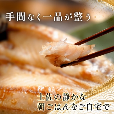 干物セット 3品 土佐の朝ごはん 冷凍 個包装 焼き魚 ご飯のお供 2～3人前 高知県 大月町
