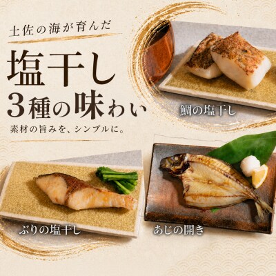 干物セット 3品 土佐の朝ごはん 冷凍 個包装 焼き魚 ご飯のお供 2～3人前 高知県 大月町