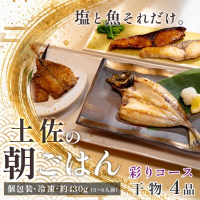 干物セット 4品 土佐の朝ごはん 彩りコース 冷凍 個包装 焼き魚 ご飯のお供 3〜4人前 大月町