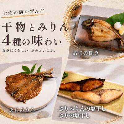 干物セット 4品 土佐の朝ごはん 彩りコース 冷凍 個包装 焼き魚 ご飯のお供 3〜4人前 大月町