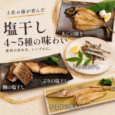 干物セット 4～5品 土佐の朝ごはん 冷凍 個包装 焼き魚 ご飯のお供 4～5人前 高知県 大月町