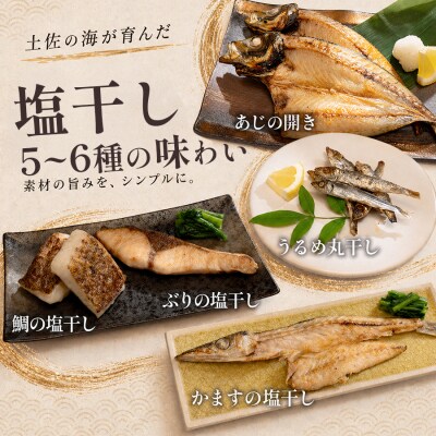 干物セット 5〜6品 土佐の朝ごはん 冷凍 個包装 焼き魚 ご飯のお供 5〜6人前 高知県 大月町