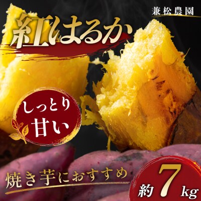 さつまいも 熟成 紅はるか 約7kg 国産 べにはるか スイーツ おやつ 栽培期間中農薬不使用