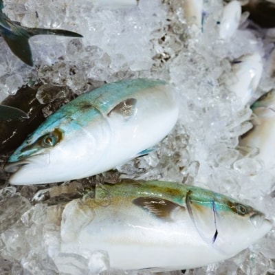 ぶり 照り焼き用 朝〆ブリ てりやき 照焼 ぶりの照り焼き 鰤 照焼き 魚 魚介類 海鮮 魚貝 惣菜