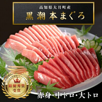 訳あり 不定貫 国産 黒潮本まぐろ 大トロ・中トロ・赤身 計400g
