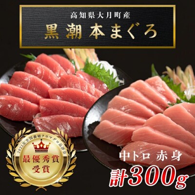 訳あり 不定貫 国産 黒潮本まぐろ 中トロ・赤身 計300g
