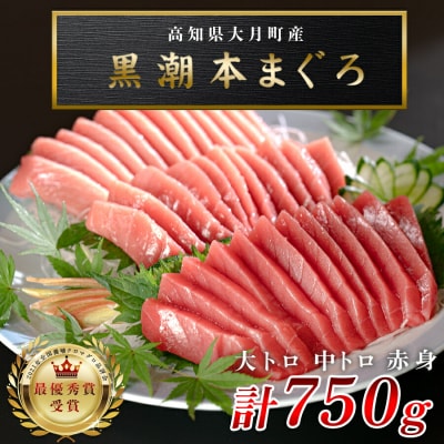 訳あり 不定貫 国産 黒潮本まぐろ 大トロ・中トロ・赤身 計750g