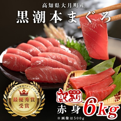 訳あり 不定貫 国産 黒潮本まぐろ 赤身 計6kg