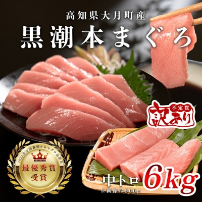 訳あり 不定貫 国産 黒潮本まぐろ 中トロ 計6kg