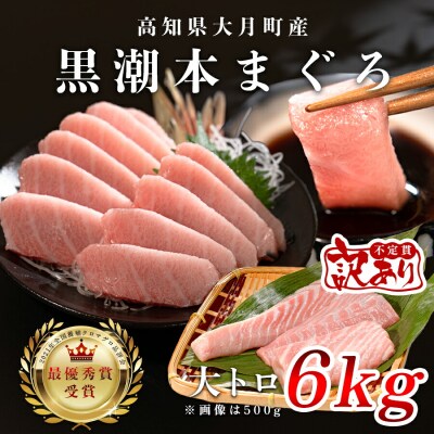 訳あり 不定貫 国産 黒潮本まぐろ 大トロ 計6kg