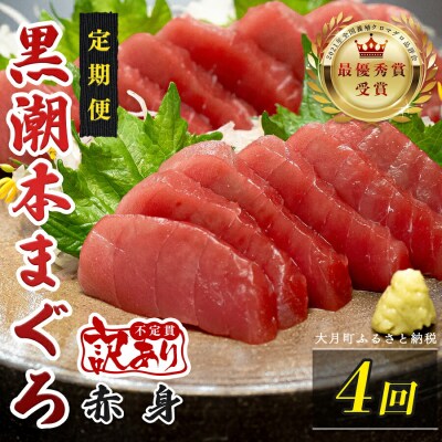 訳あり 不定貫 国産 黒潮本まぐろ 赤身 定期便 120g×4回