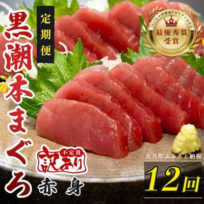 訳あり 不定貫 国産 黒潮本まぐろ 赤身 定期便 120g×12回