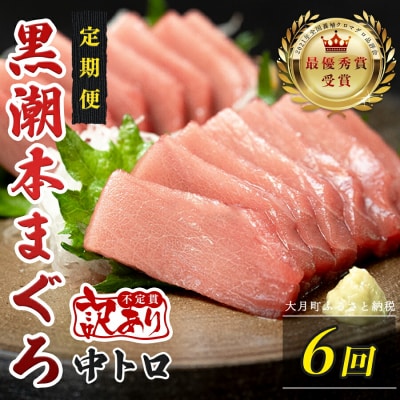 訳あり 不定貫 国産 黒潮本まぐろ 中トロ 定期便 120g×6回