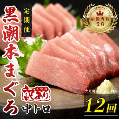 訳あり 不定貫 国産 黒潮本まぐろ 中トロ 定期便 120g×12回