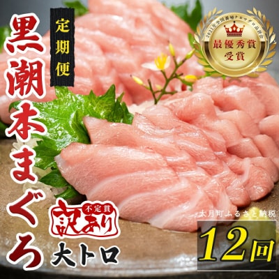 訳あり 不定貫 国産 黒潮本まぐろ 大トロ 定期便 120g×12回