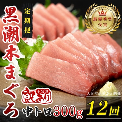 訳あり 不定貫 国産 黒潮本まぐろ 中トロ 定期便 300g×12回