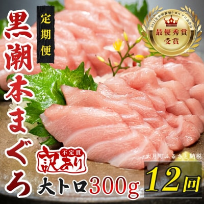 訳あり 不定貫 国産 黒潮本まぐろ 大トロ 定期便 300g×12回
