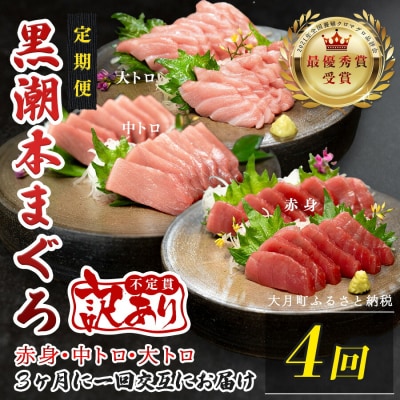 訳あり 不定貫 国産 黒潮本まぐろ 大トロ・中トロ・赤身 定期便 300g×4回