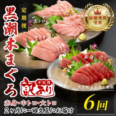 訳あり 不定貫 国産 黒潮本まぐろ 大トロ・中トロ・赤身 定期便 300g×6回