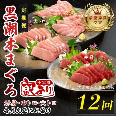 訳あり 不定貫 国産 黒潮本まぐろ 大トロ・中トロ・赤身 定期便 300g×12回