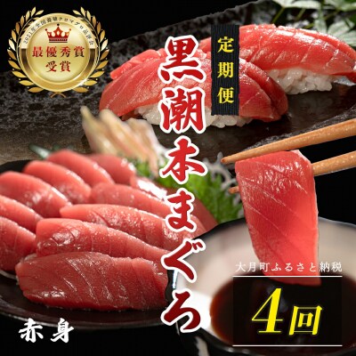 訳あり 不定貫 国産 黒潮本まぐろ 赤身 定期便 120g×4回