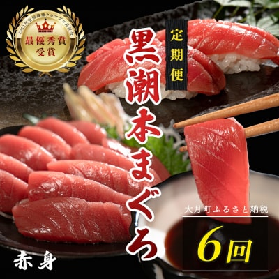 訳あり 不定貫 国産 黒潮本まぐろ 赤身 定期便 120g×6回