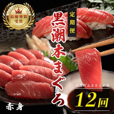 訳あり 不定貫 国産 黒潮本まぐろ 赤身 定期便 120g×12回