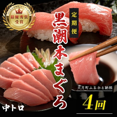 訳あり 不定貫 国産 黒潮本まぐろ 中トロ 定期便 120g×4回
