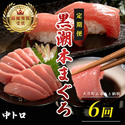訳あり 不定貫 国産 黒潮本まぐろ 中トロ 定期便 120g×6回