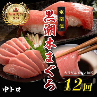 訳あり 不定貫 国産 黒潮本まぐろ 中トロ 定期便 120g×12回