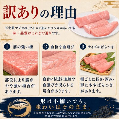 訳あり 不定貫 国産 黒潮本まぐろ 中トロ 定期便 120g×12回