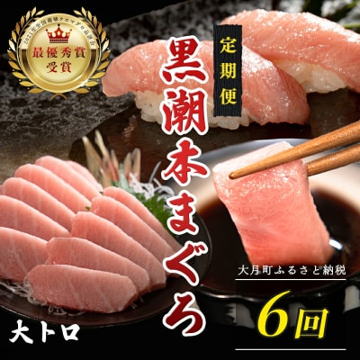 訳あり 不定貫 国産 黒潮本まぐろ 大トロ 定期便 120g×6回