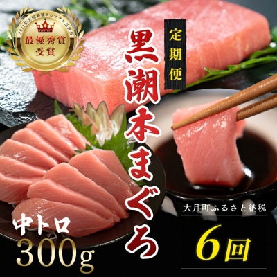 訳あり 不定貫 国産 黒潮本まぐろ 中トロ 定期便 300g×6回