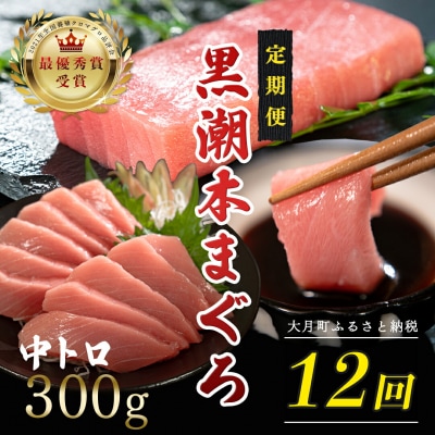 訳あり 不定貫 国産 黒潮本まぐろ 中トロ 定期便 300g×12回