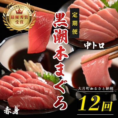 訳あり 不定貫 国産 黒潮本まぐろ 中トロ・赤身 定期便 120g×12回