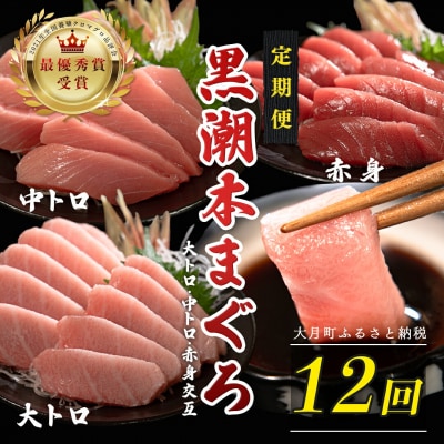 訳あり 不定貫 国産 黒潮本まぐろ 大トロ・中トロ・赤身 定期便 300g×12回