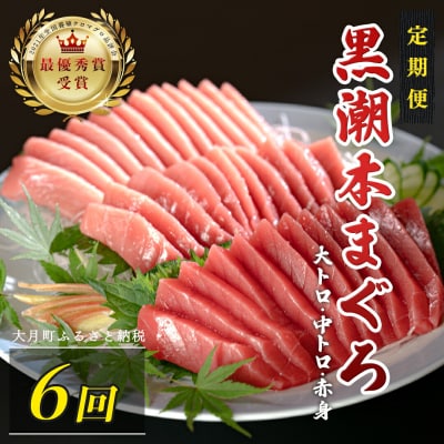 訳あり 不定貫 国産 黒潮本まぐろ 大トロ・中トロ・赤身 定期便 450g×6回