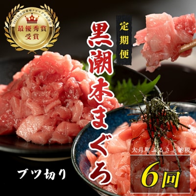訳あり 不定貫 国産 黒潮本まぐろ ブツ切り 定期便 300g×6回