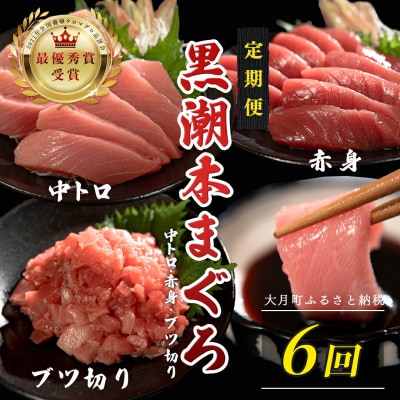 訳あり 不定貫 国産 黒潮本まぐろ 中トロ・赤身・ブツ切り 定期便 120~300g×6回